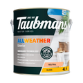 Taubmans 4L Neutral Gloss All Weather Exterior Paint Water Based UV Resistant