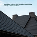 Taubmans 4L Black Gloss All Weather Exterior Paint Water Based UV Resistant