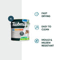 Taubmans 4L Accent Semi Gloss All Weather Exterior Paint Water Based UV Resistant
