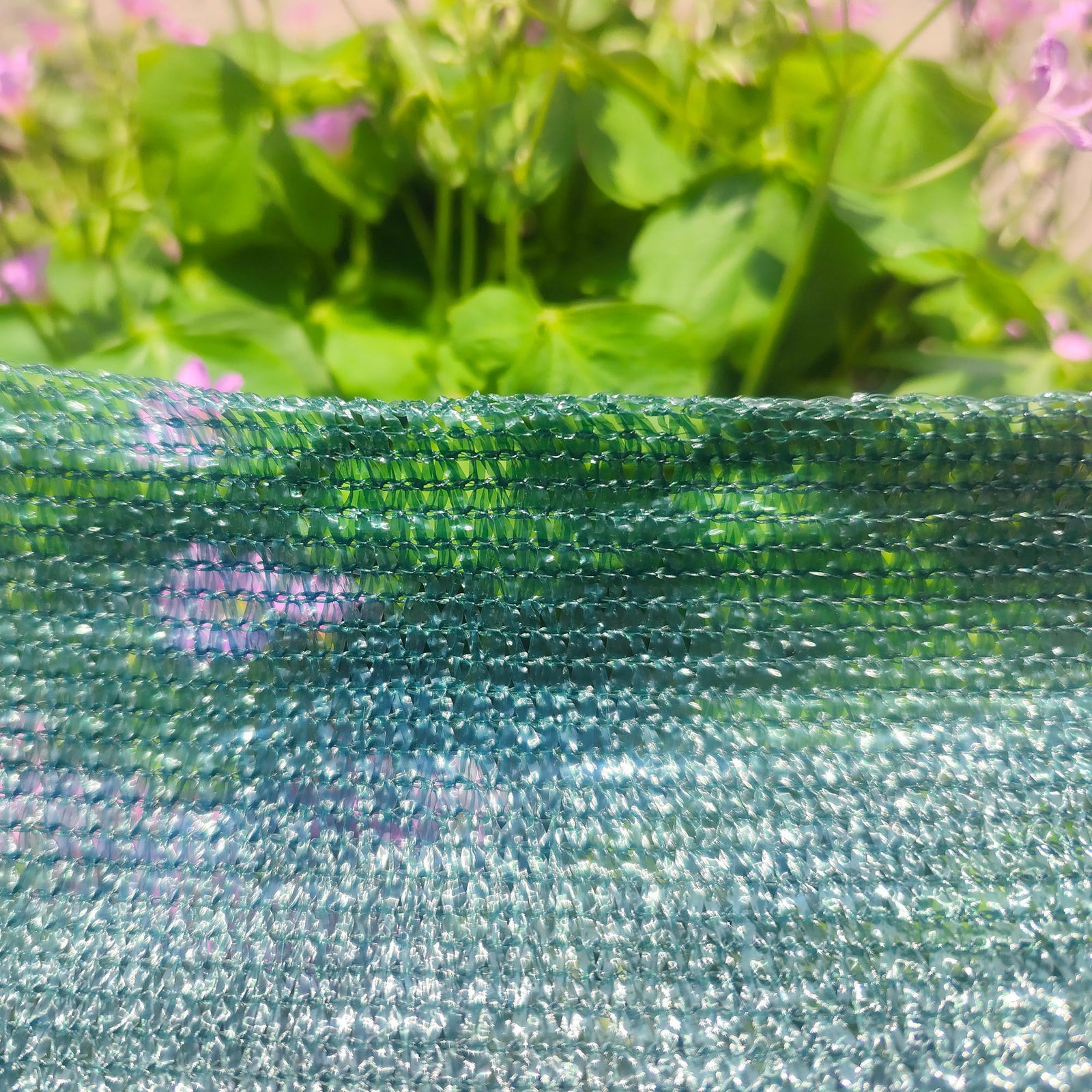 Pillar 3.66 x 5m Cottage Green HDPE 30% UV Cover Hail and Shade Mesh