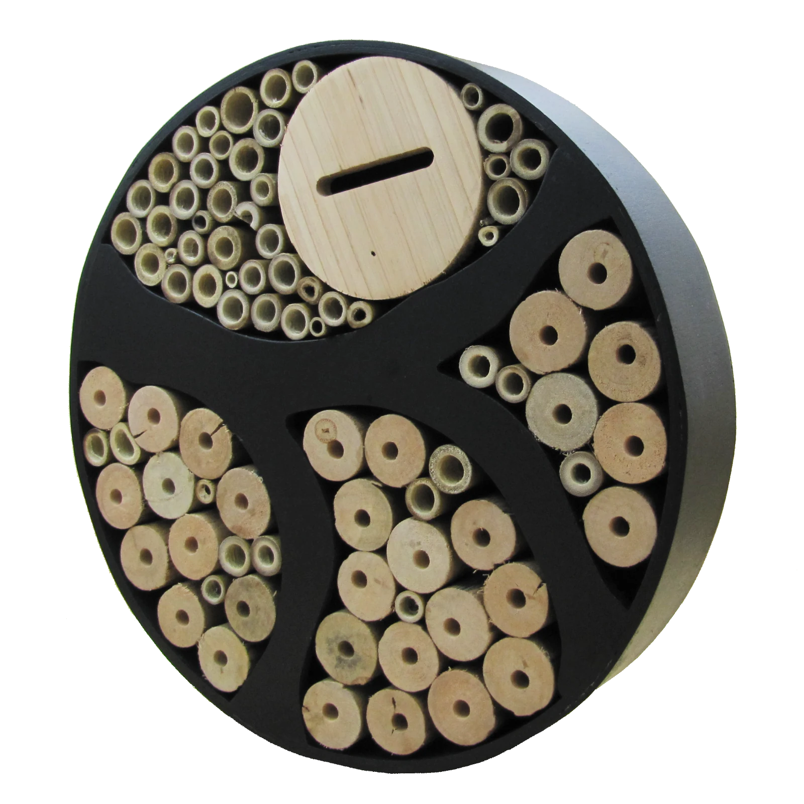Mr Fothergill's Bee and Insect Sanctuary Wood Kit