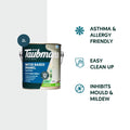 Taubmans 2L Accent Semi Gloss Water Based Enamel Paint