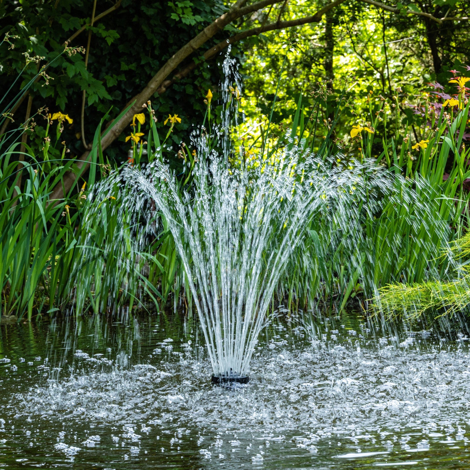Aquapro AP7510 150W Submersible Multi-Use Pond Pump 02AH600