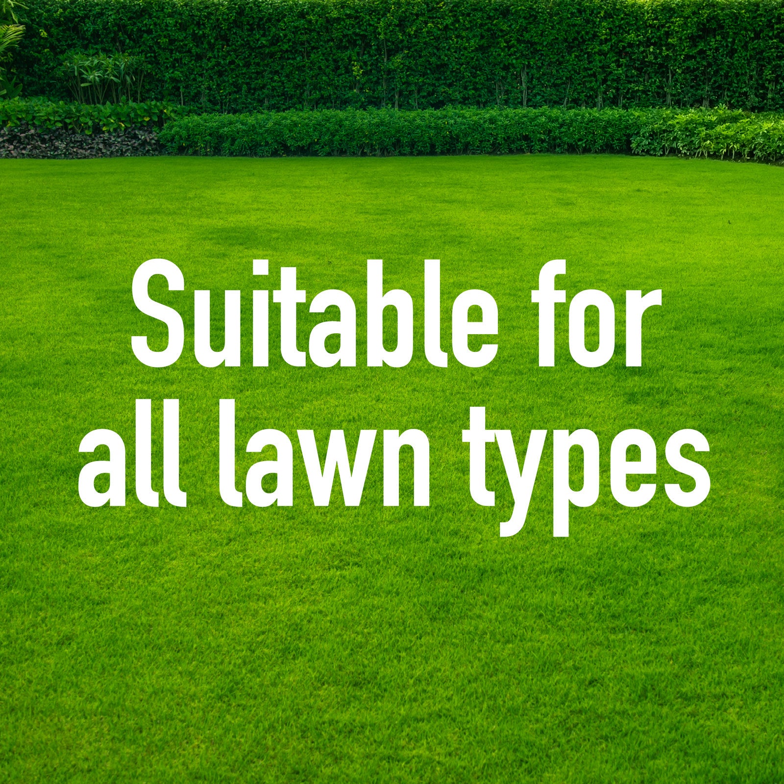 Munns Professional 1L Lift Off Liquid Lawn Fertiliser Concentrate