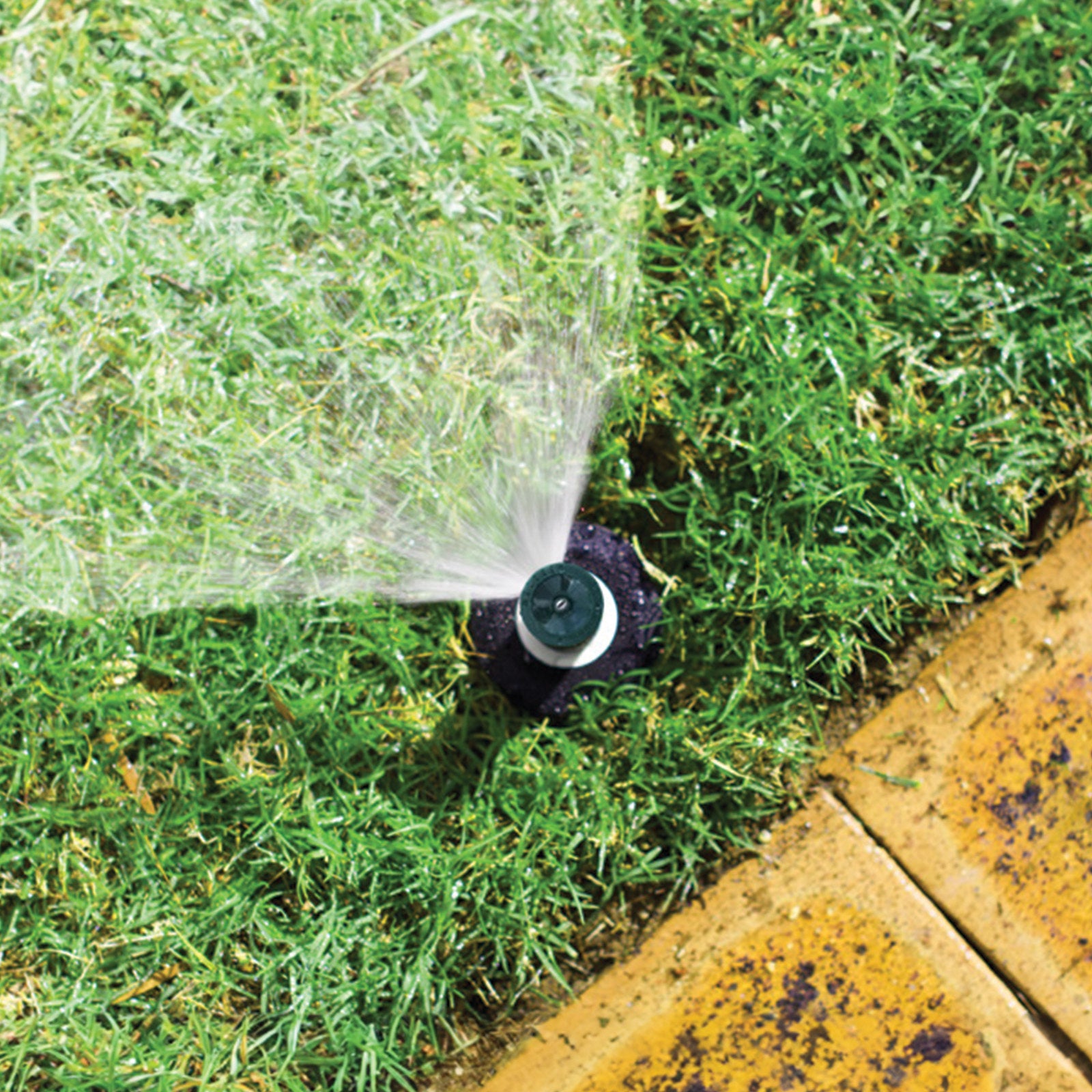 Holman 50mm 1/4 Circle Plastic Pop Up Sprinkler