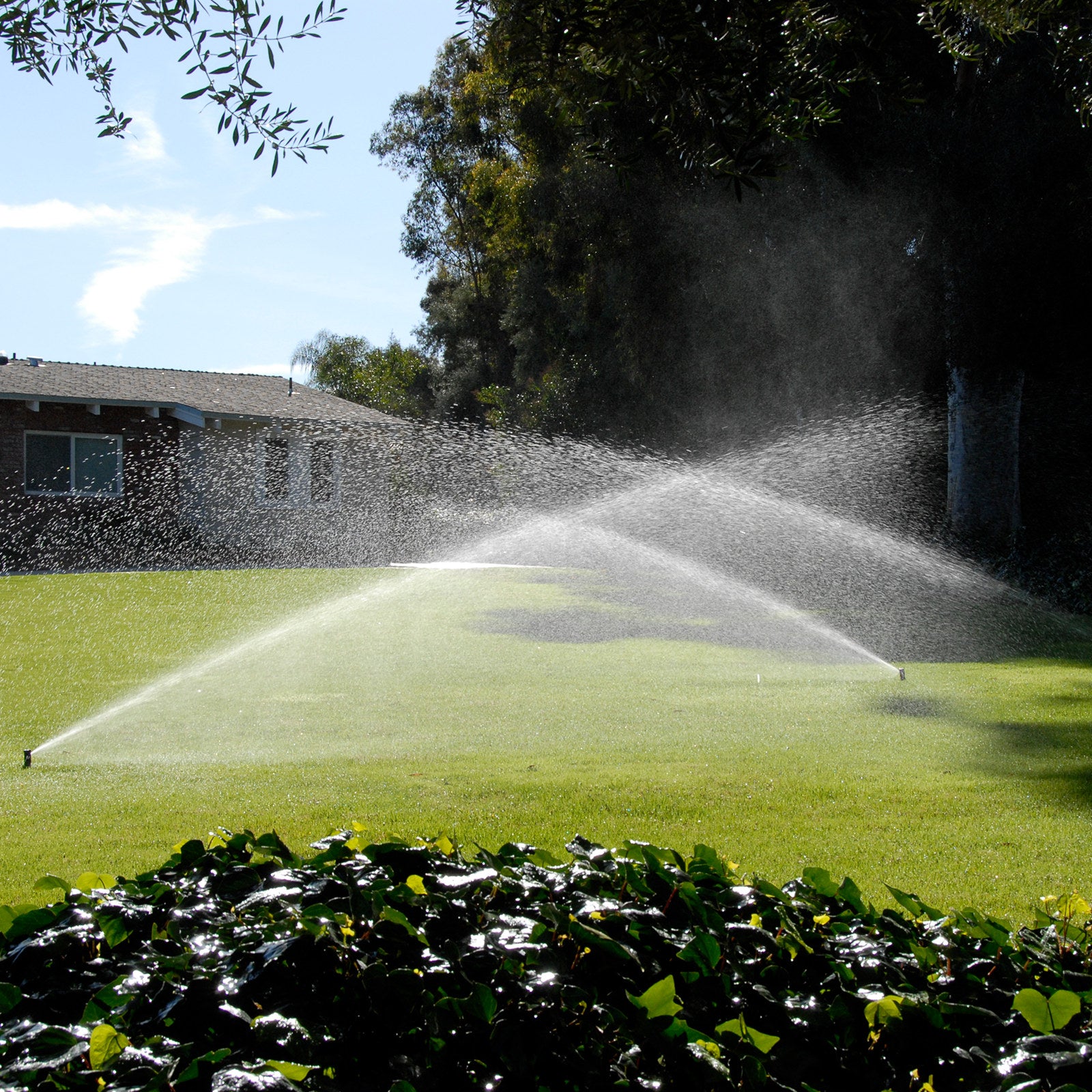 Toro 20mm T5 Series Rotor Sprinkler 53825-R