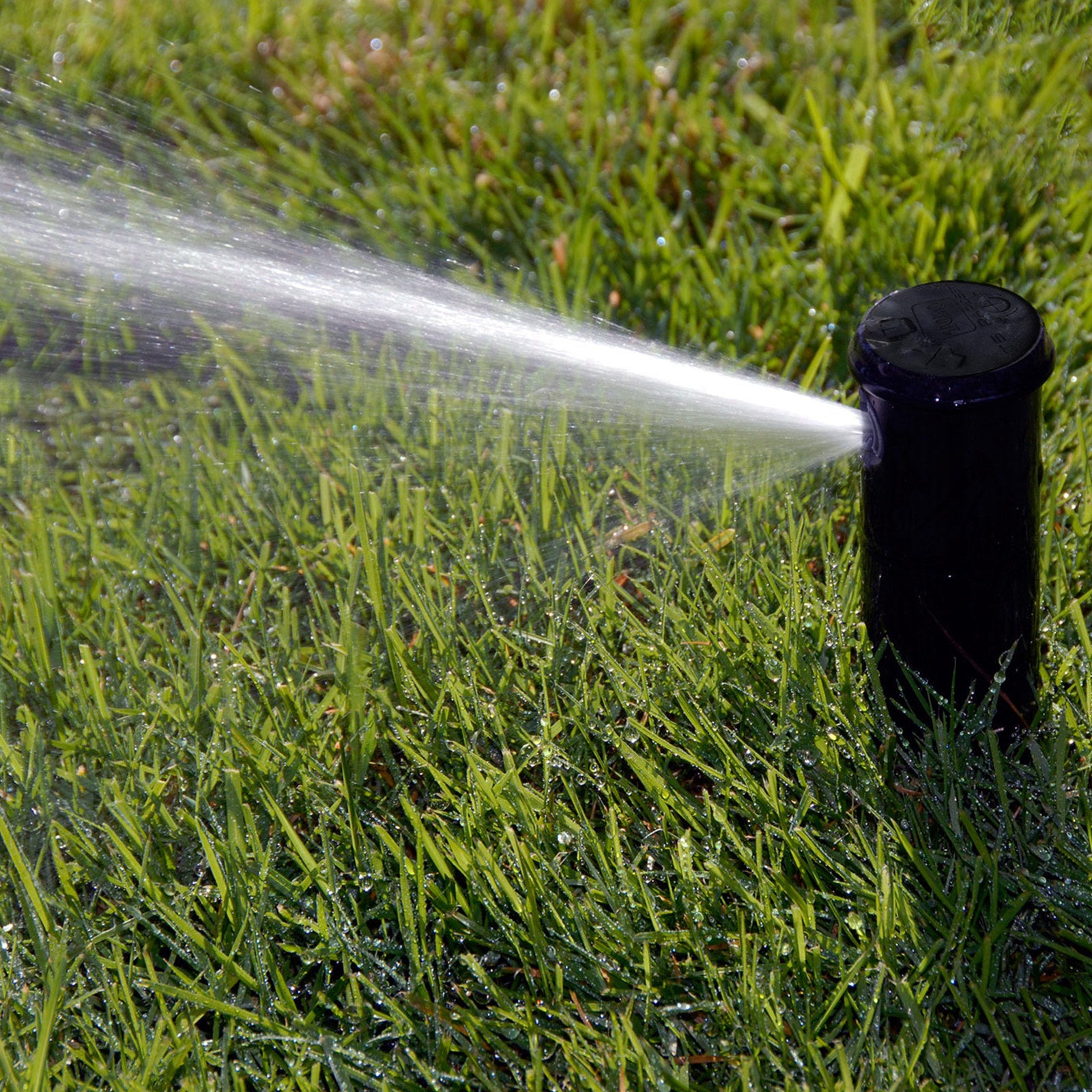 Toro 20mm T5 Series Rotor Sprinkler 53825-R