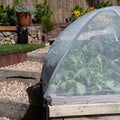 Backyard Farmer 4 x 4m x 7mm Crop Protection Net