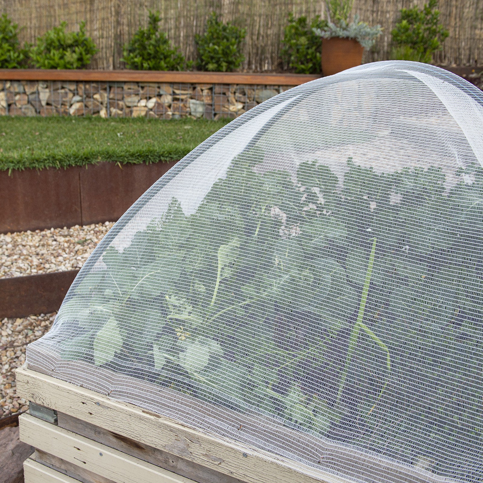Backyard Farmer 4 x 4m x 7mm Crop Protection Net