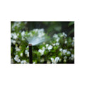 Rain Bird 5.2-7.3m High Efficiency Adjustable Pattern Rotary Nozzle