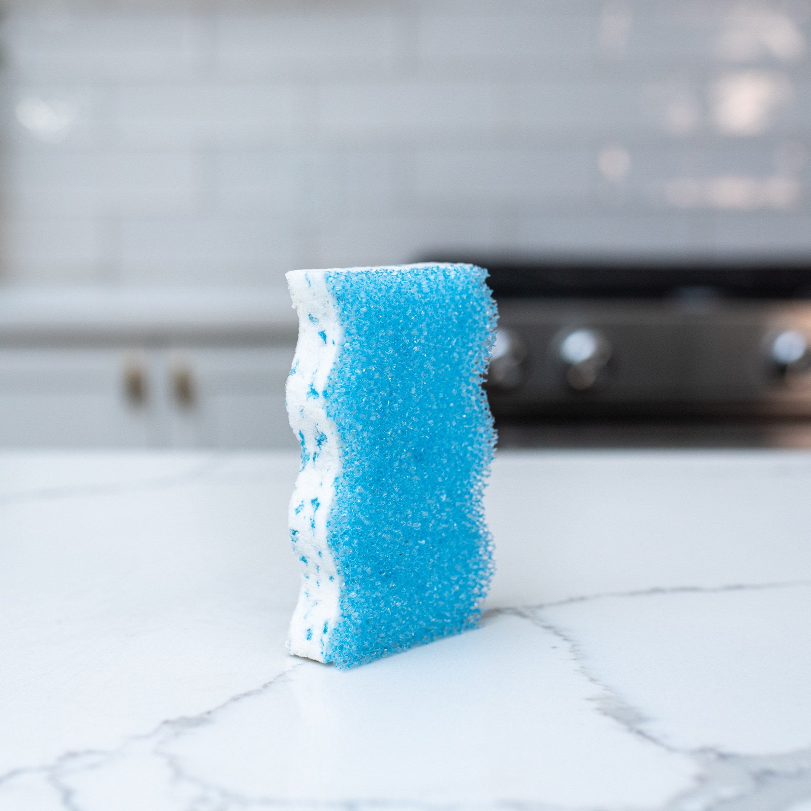 Scrub Daddy Eraser Daddy 2 Pack