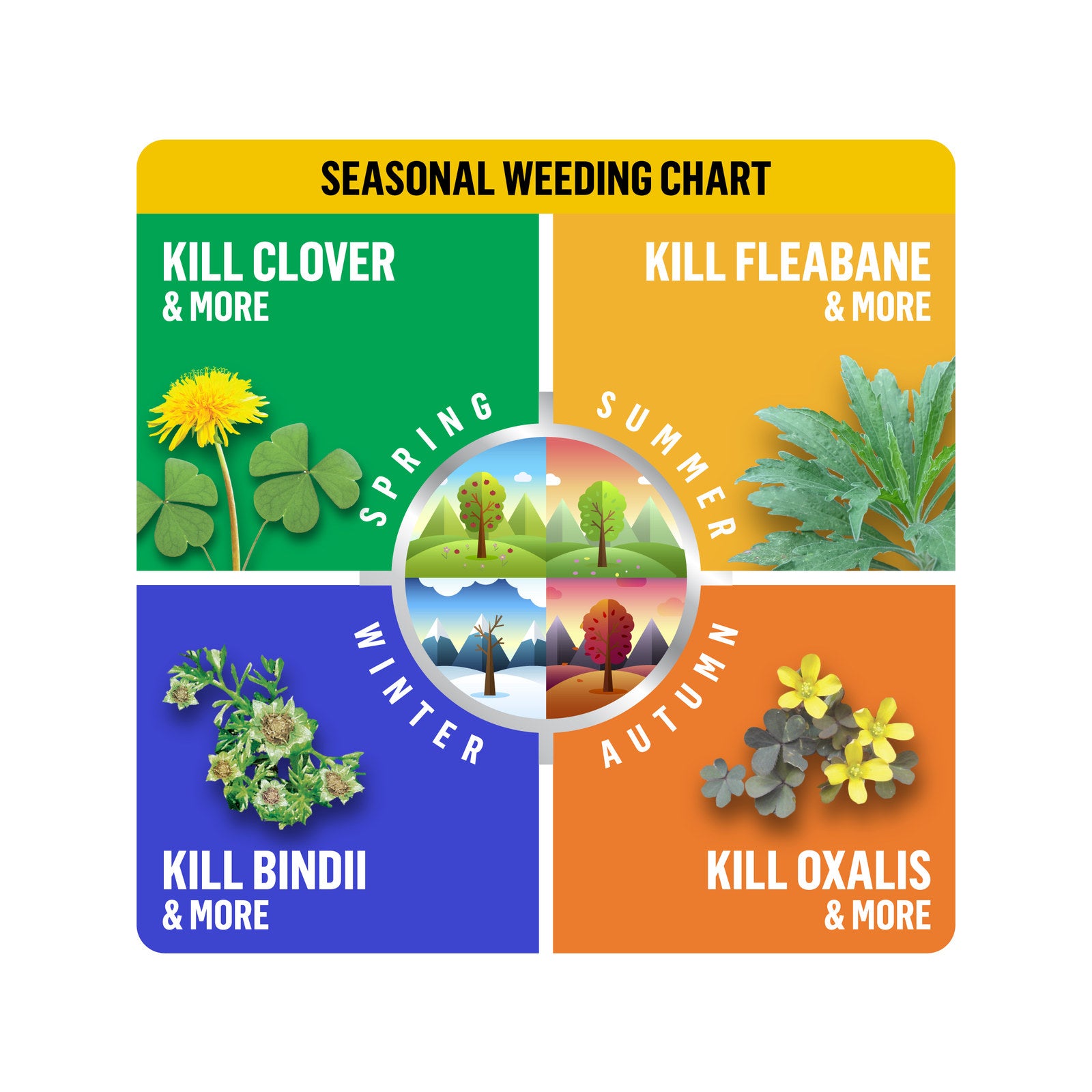 Scotts Lawn Builder Bindii, Clover & Broadleaf Weedkiller Refillable Bottle