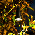 Holman Hanging Tree Light Value Pack PTLW433K - 6 Globes, 3W 12V IP67 Warm White Outdoor