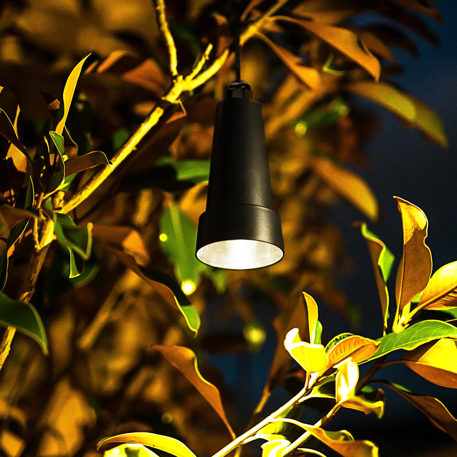 Holman Hanging Tree Light Value Pack PTLW433K - 6 Globes, 3W 12V IP67 Warm White Outdoor