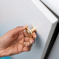Taskmaster 34mm Brushed Brass Round Cabinet Knob - Single, with Screw