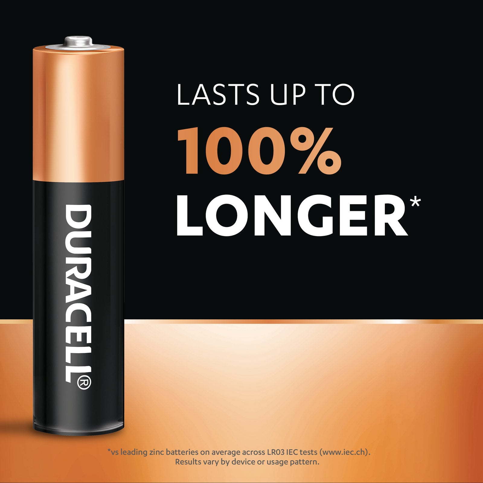 Duracell Coppertop AAA Alkaline Batteries - 24 Pack