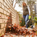 Ryobi 18V ONE+ HP Brushless Garden Blower 5.0Ah Kit R18XBLW35