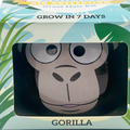 Mr Fothergill's Large Gorilla Grass Hair Kit - Grow Your Own Grass Head
