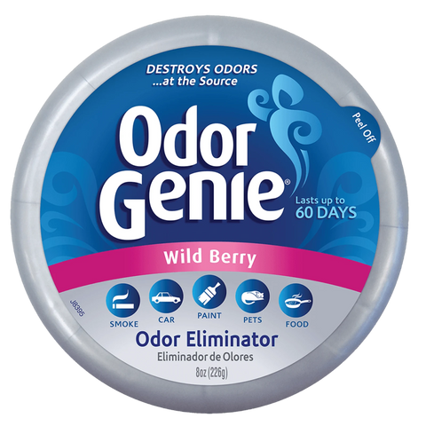 DampRid Odor Genie 226g, Wild Berry - Solid Gel Odour Eliminator with Charcoal