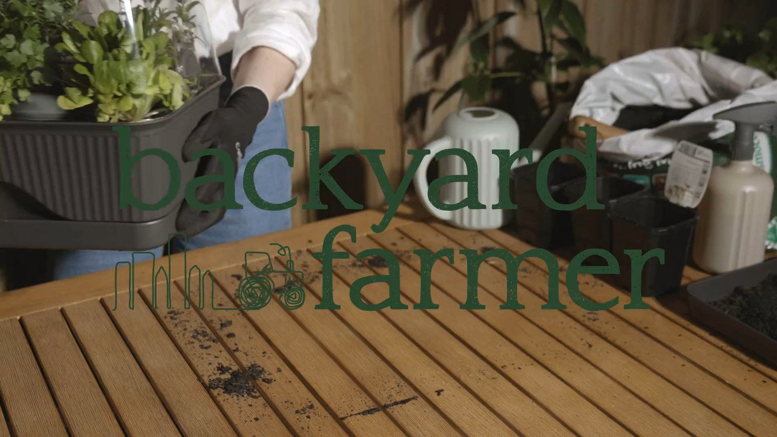 Backyard Farmer Lula Mini Greenhouse, Grey Seed Propagator
