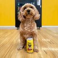 Baxter Bone Pup-Squash Soda Can Plush Dog Toy - Squeaker & Crinkle