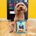Baxter Bone Salty Dog Chips Plush Crinkle Dog Toy - Aqua