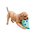 Baxter Bone Salty Dog Chips Plush Crinkle Dog Toy - Aqua