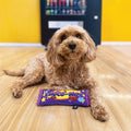 Baxter Bone Choco-Mut Candy Bar Plush Dog Toy - Squeakers & Crinkle