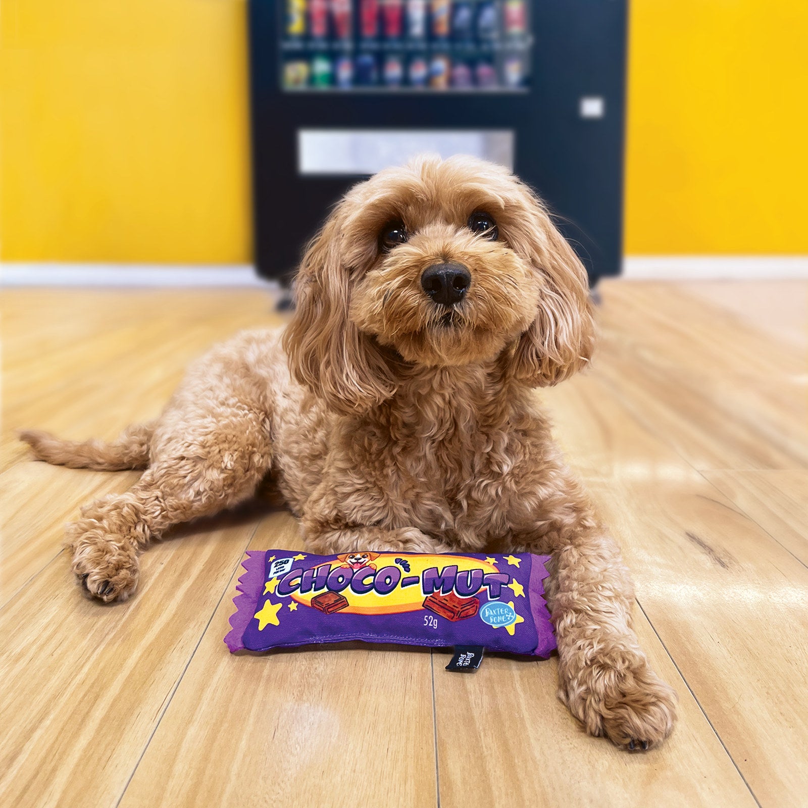 Baxter Bone Choco-Mut Candy Bar Plush Dog Toy - Squeakers & Crinkle