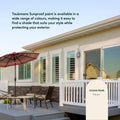 Taubmans 4L Accent Sheen Low Sunproof Exterior Paint - 4L - UV Protection, Self-Priming