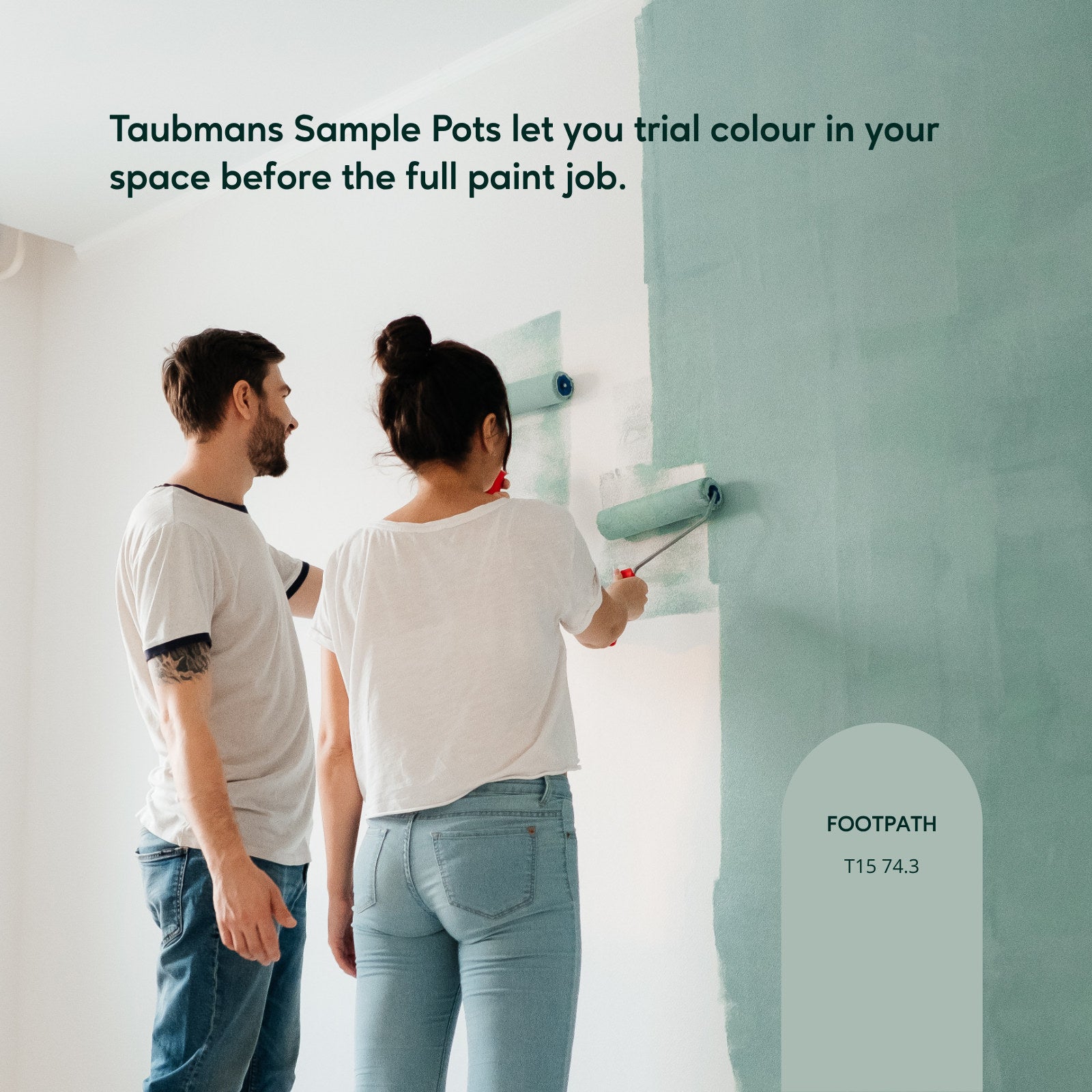 Taubmans Sample Pot 500ml Accent Water Based Acrylic