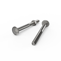 Zenith M10 x 120mm Stainless Steel 304 Cup Head Bolt and Nut