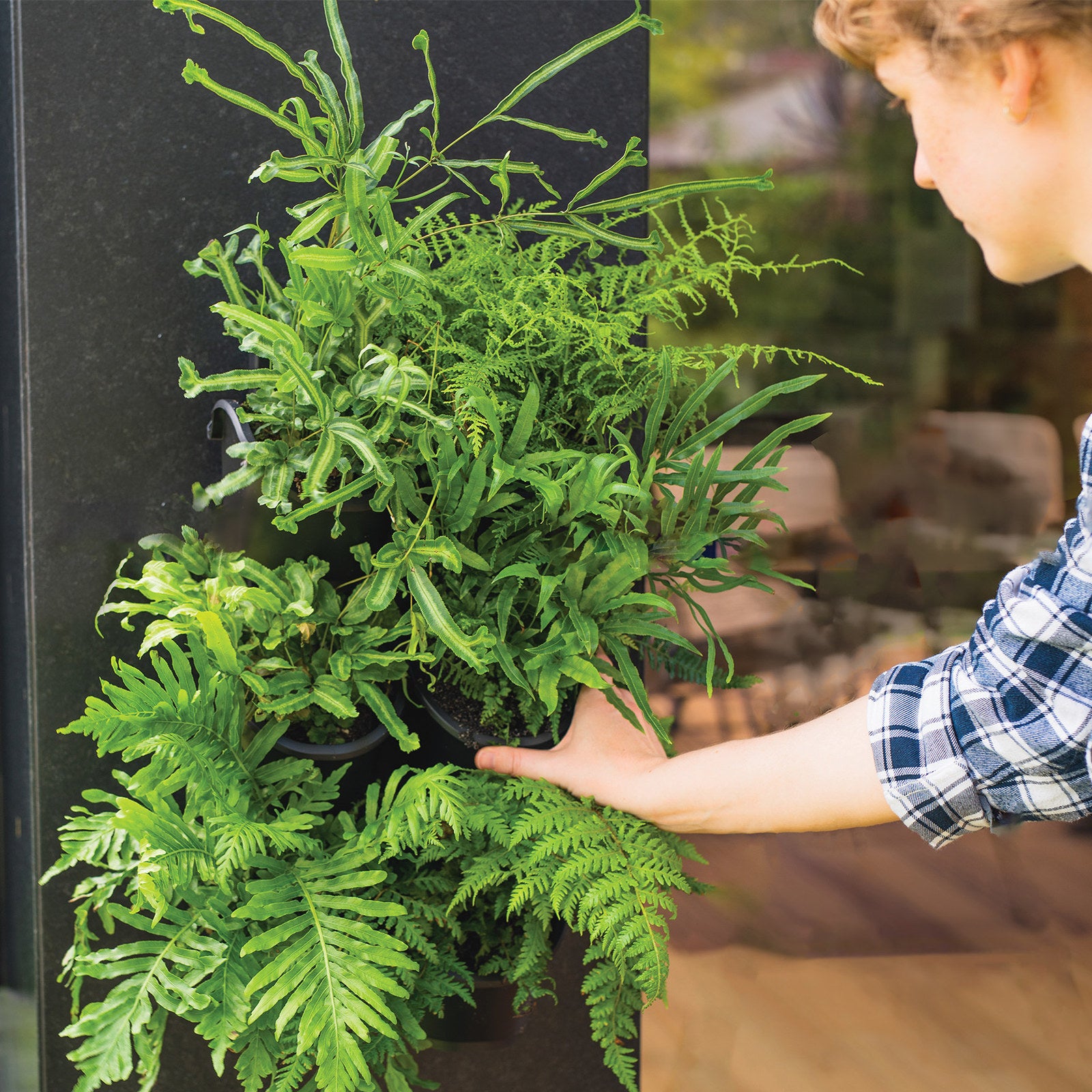 Holman Greenwall Slim Mounted Kit 198 x 535mm - Black Vertical Garden with Watering System