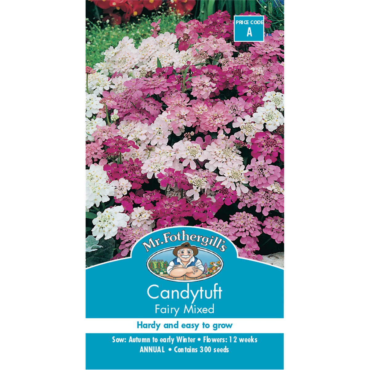 Mr Fothergill's Candytuft Fairy Mixed Flower Seeds - Hardy Edging & Bedding Annual