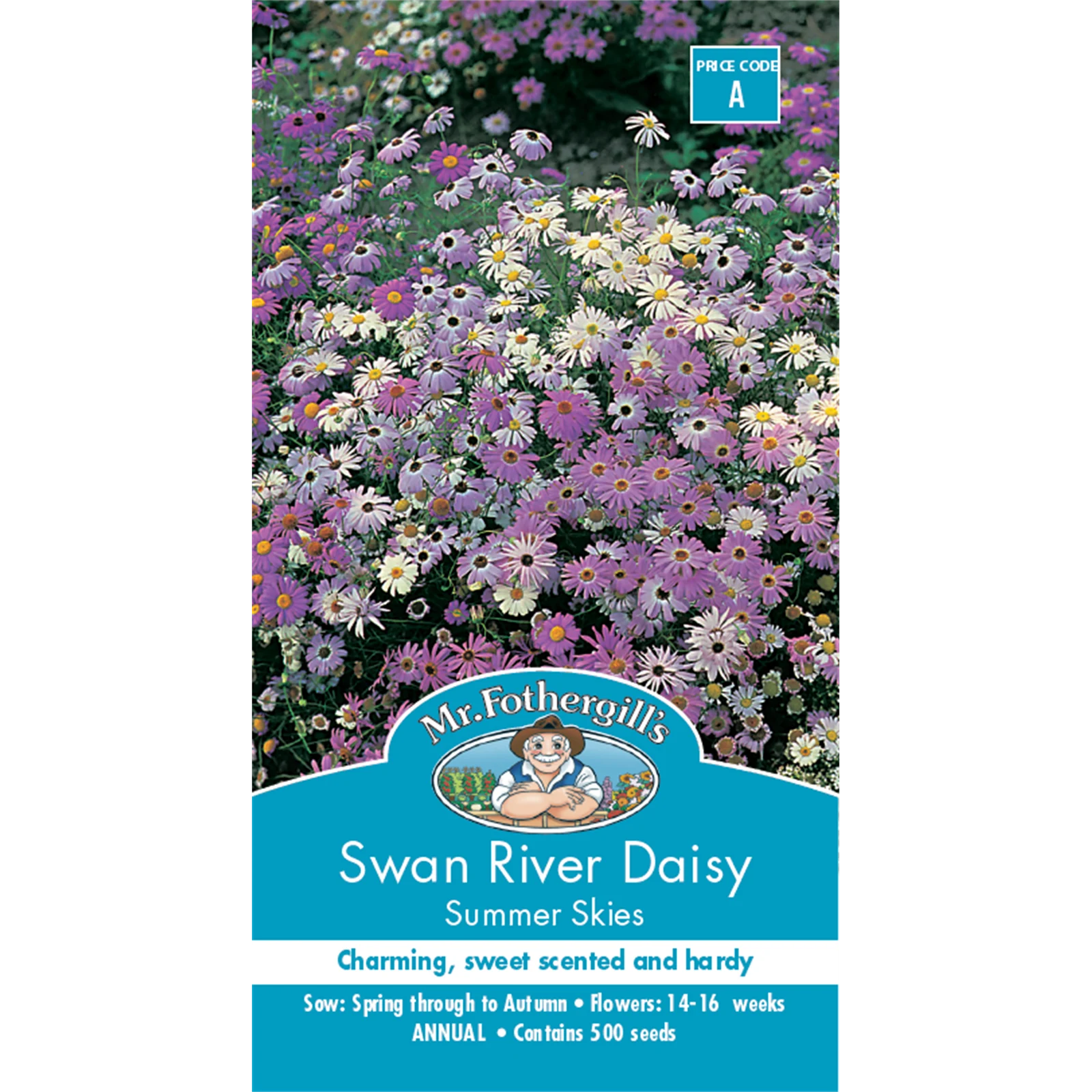Mr Fothergill's Swan River Daisy Summer Sky Flower Seeds - Scented Annual 30cm