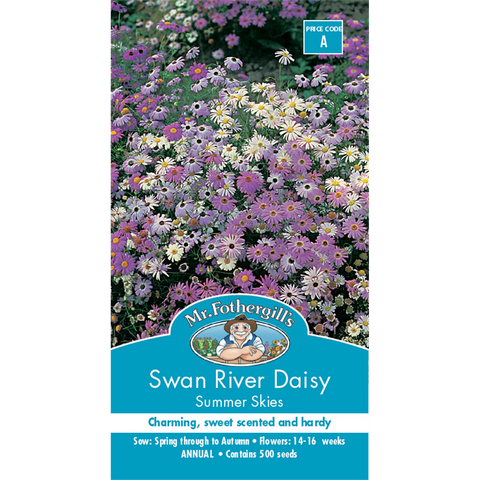 Mr Fothergill's Swan River Daisy Summer Sky Flower Seeds - Scented Annual 30cm