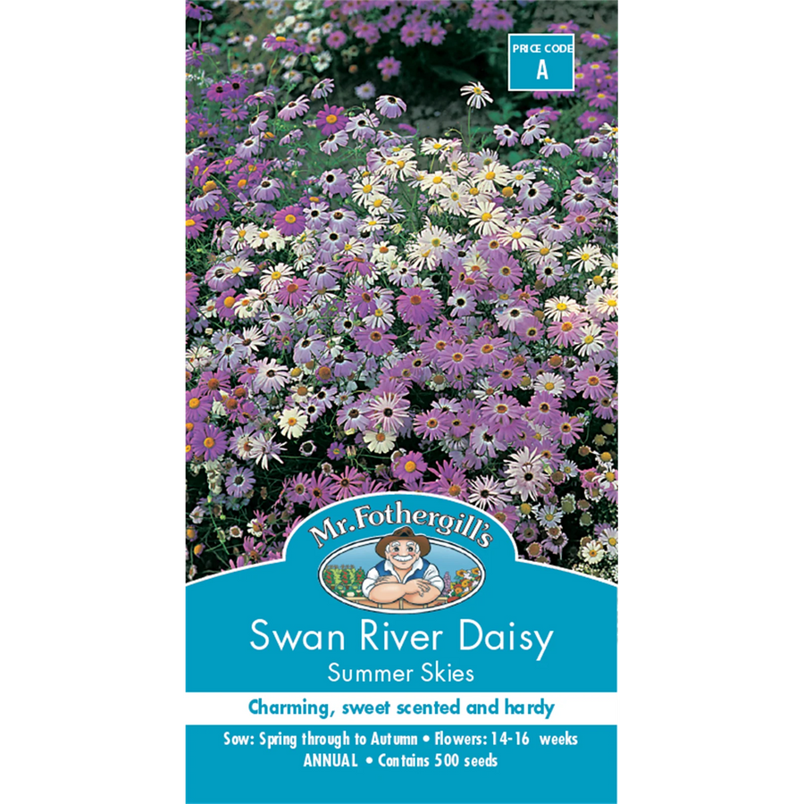 Mr Fothergill's Swan River Daisy Summer Sky Flower Seeds - Scented Annual 30cm
