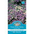 Mr Fothergill's Swan River Daisy Summer Sky Flower Seeds - Scented Annual 30cm