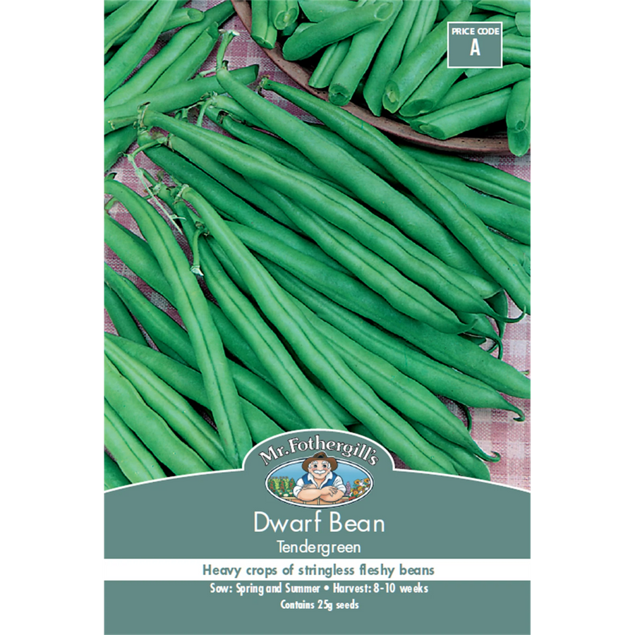 Mr Fothergill's Tendergreen Dwarf Bean Seeds - 60cm Stringless Green Pods