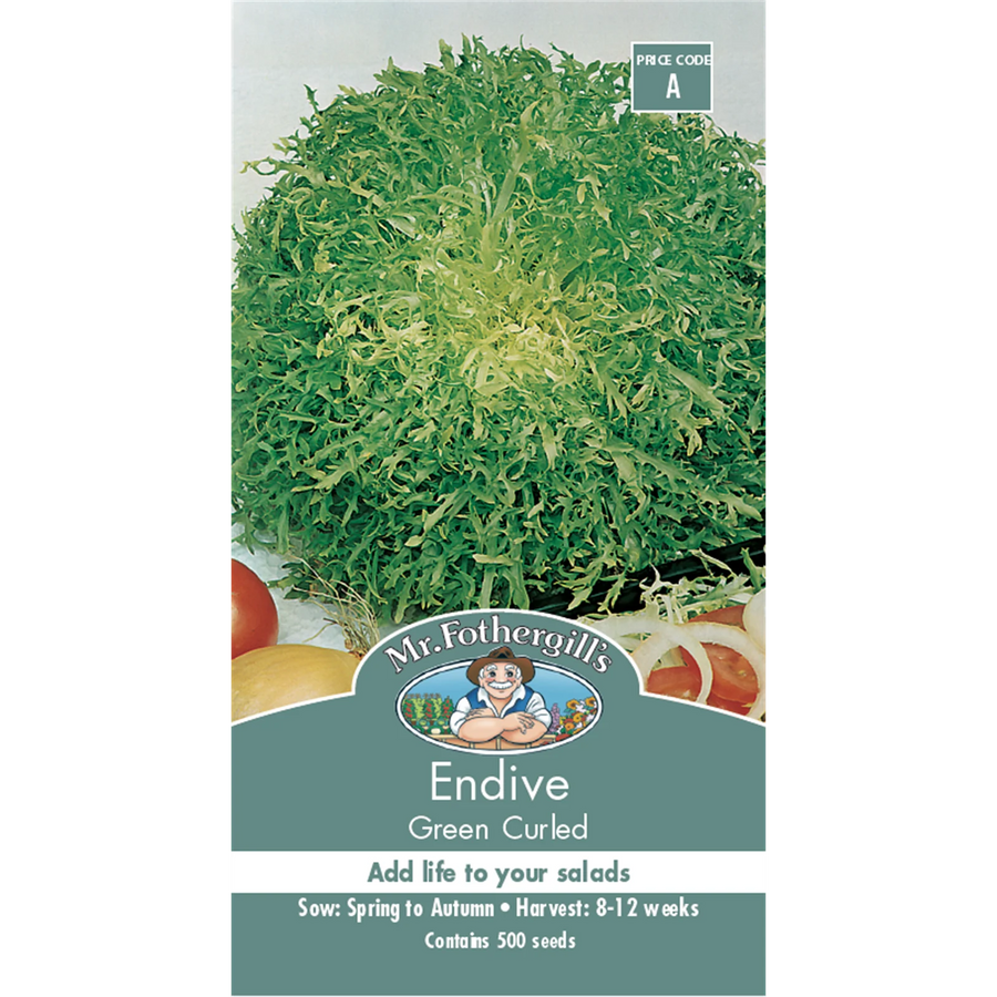Mr Fothergill's Endive Vegetable Seeds