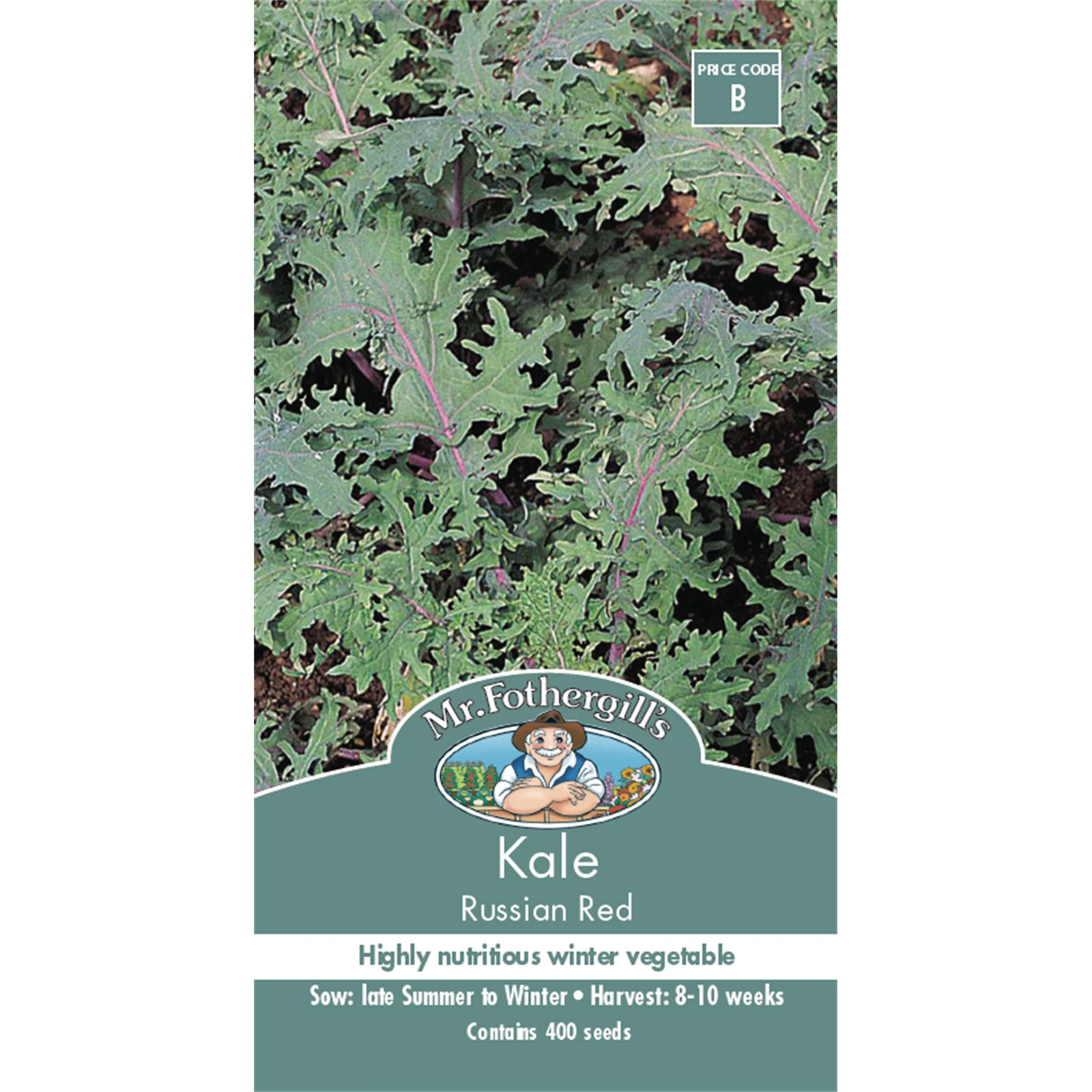 Mr Fothergill's Kale Russian Red Seeds - Hardy Winter Variety, Sun or Part Shade
