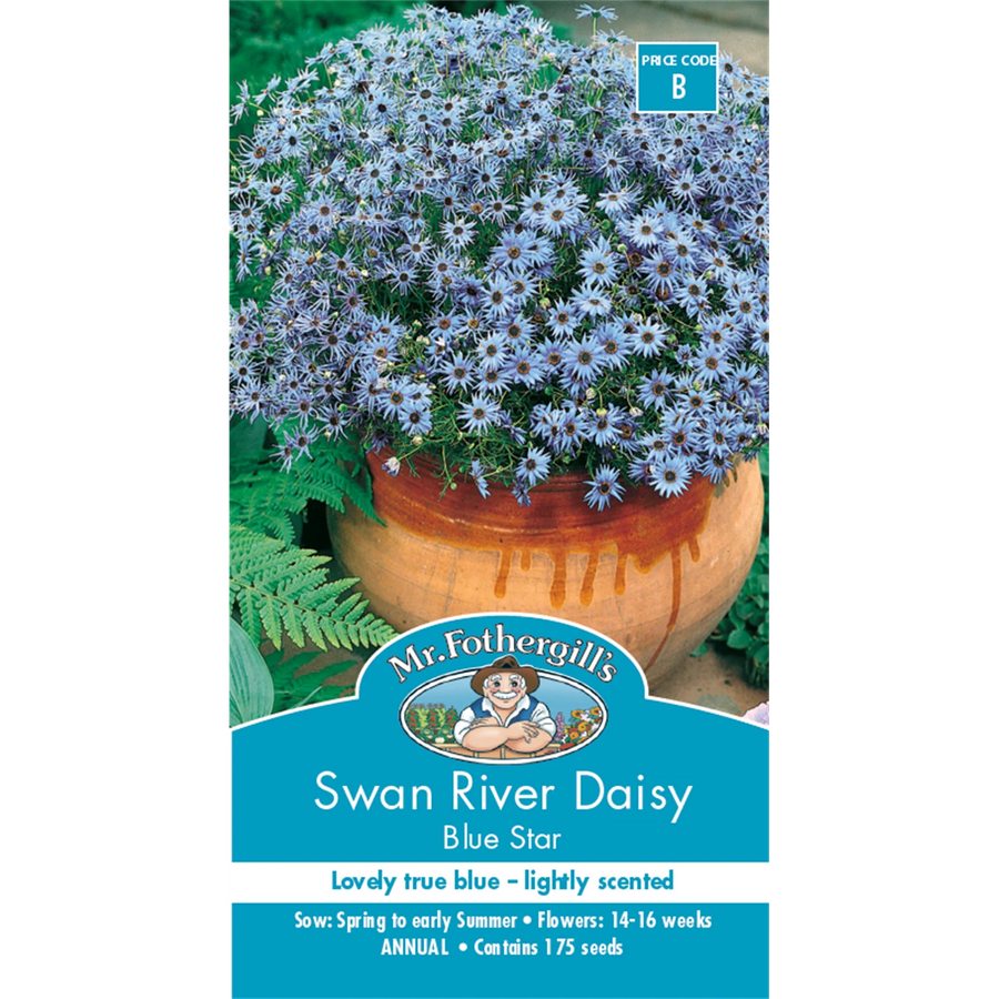 Mr Fothergill's Swan River Daisy Blue Flower Seeds