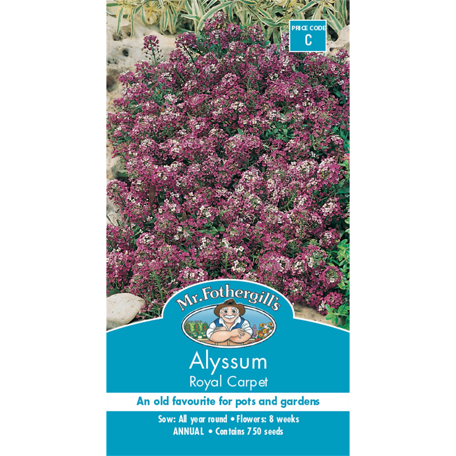 Mr Fothergill's Royal Carpet Alyssum Flower Seeds