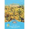 Mr Fothergill's Dwarf Wattle Flower Seeds, Bright Yellow Native Shrub