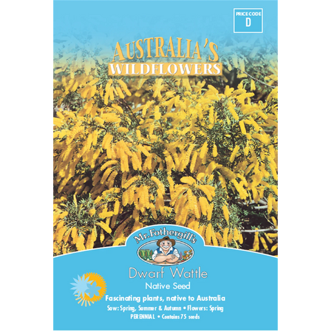 Mr Fothergill's Dwarf Wattle Flower Seeds, Bright Yellow Native Shrub