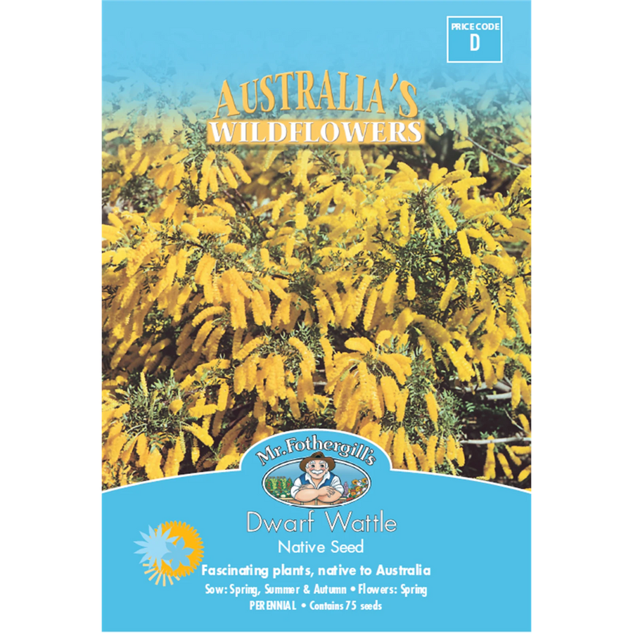 Mr Fothergill's Dwarf Wattle Flower Seeds, Bright Yellow Native Shrub