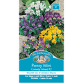 Mr Fothergill's Mini Pansy Flower Seeds Compact Blooms for Beds & Pots
