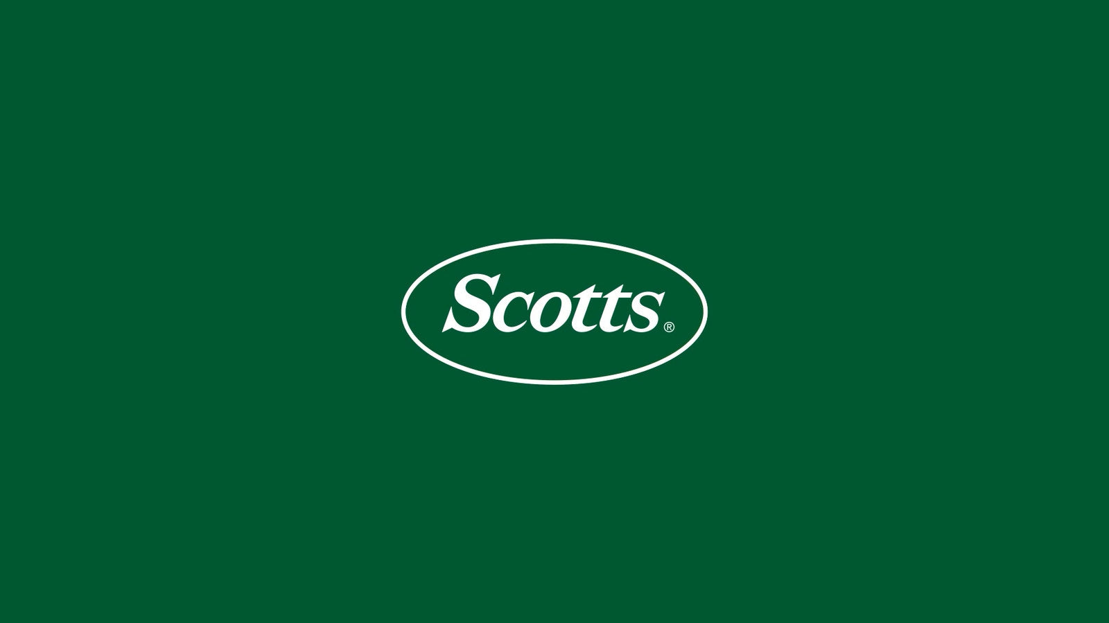 Scotts Lawn Builder All Lawn Types Lawn Food 4kg - Granular Slow Release, Covers 285m2