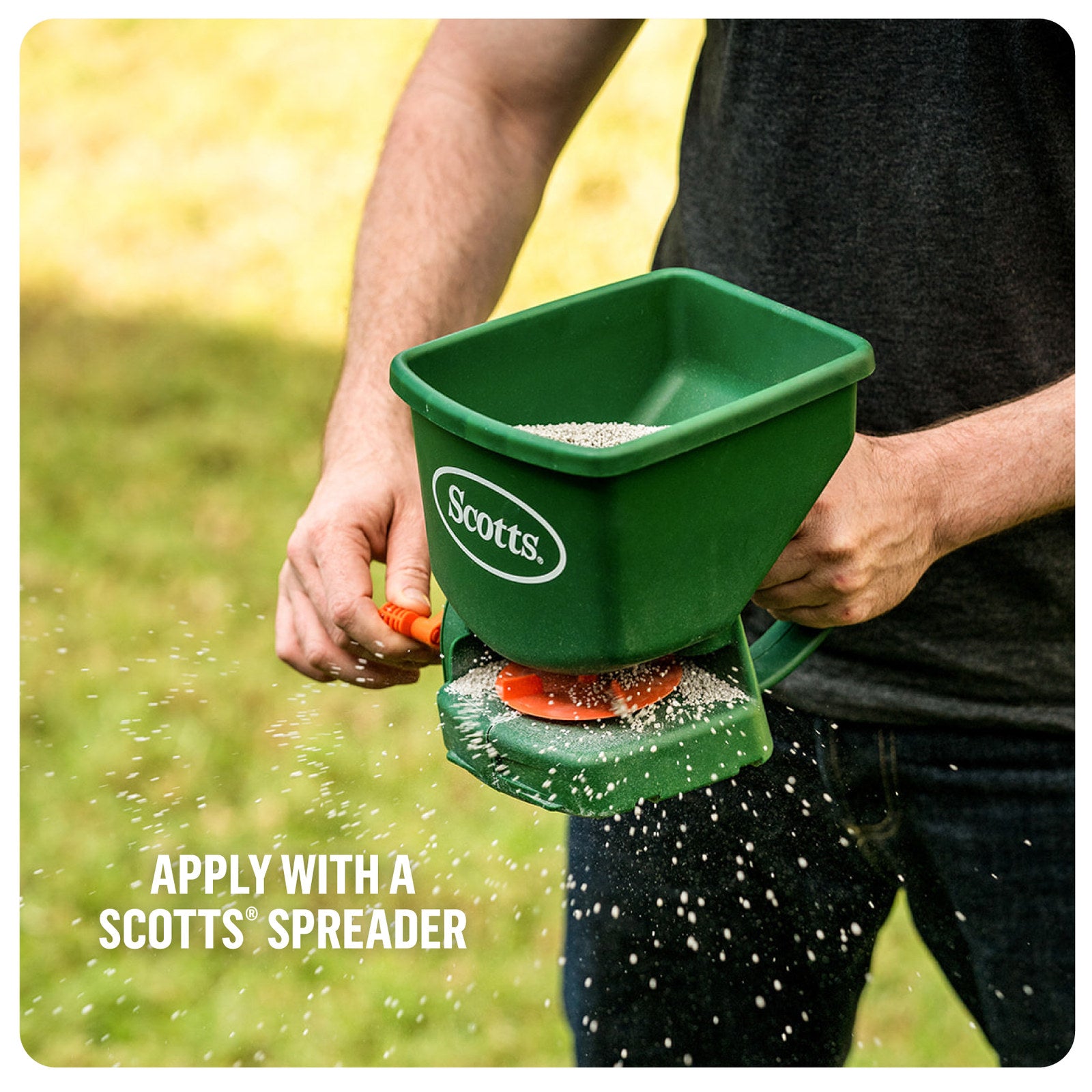 Scotts Lawn Builder Buffalo Lawn Food 4kg - Granular Slow Release, Covers 250m2