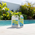Hy-Clor Longlife Pool Algaecide 1L Copper Cupric Ammonium Complex